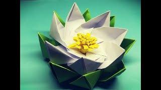 Origami Water Lily Instruction Step By Step | Paper Lotus | DIY For Kids