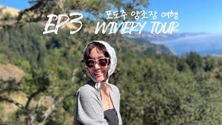 Ep3. 와이너리 1 / 친구들끼리 여행 / 와이너리 예약방법