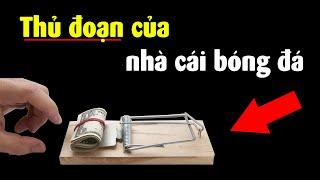 Nhà cái bẫy con mồi cá độ như thế nào??