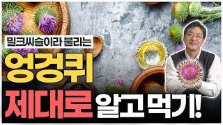 세계적인 약초 엉겅퀴 ! 좋은 효능과 먹는 방법, 부작용 제대로 알고 먹어요 : )