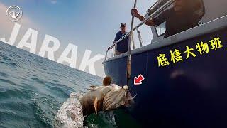 『JARAK下』超可怕！你在釣魚旁邊在軍演！我該不該繼續釣啊？#鵝大人 #釣魚 #馬來西亞