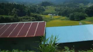 夏の風景