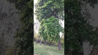 21 мая 2025 г.