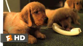 Golden Winter (2012) - Break-In While Breaking Out Scene (3/10) | Movieclips