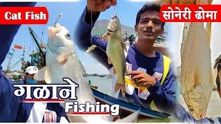 गळाने Fishing | ढोमा मासा | Cat Fish | Karanja  Jetty | उरण | Fishing Vlogs