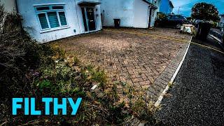 Pressure Washing this Overgrown Driveway and Dirty Patio!