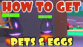 How to Get Pets and Eggs in Pet Swarm Simulator
