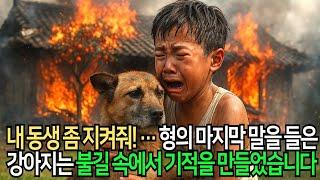 “내 동생 좀 지켜줘!” 형의 마지막 부탁을 들은 개가 불길 속으로 뛰어들었습니다