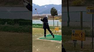 #파크골프 #파크골프티샷