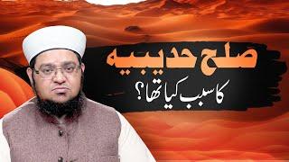 Sulah e Hudaibiya Ka Sabab Kaya Tha ? | Mufti Qasim Attari