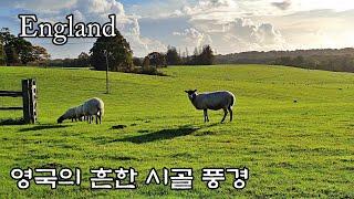 영국의 시골길 걷기, 양떼와 산책하기, 영국의 흔한 시골풍경, 영국의 들판, Earth Walker