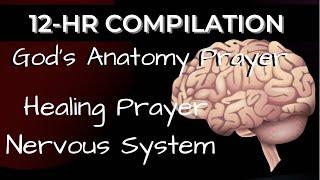 12 HR Compilation | Healing Prayer For The Brain | Nervous System  God’s Anatomy Prayer