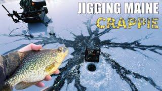 Jigging Early Ice Maine Crappie. Ice Fishing 2024 / 2025.