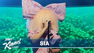 Sia – Solsbury Hill (Humane World for Animals Cover)