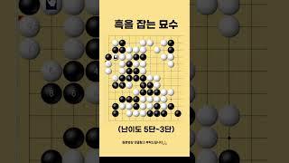흑집을 지우는 수순 고급사활문제 #바둑 #사활 #바둑강좌