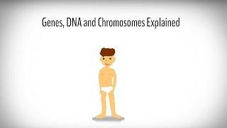 Genes, DNA and Chromosomes explained