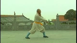 SHAOLIN KUNG FU - CHANG HU XIN YI MEN QUAN