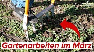 Diese Gartenarbeiten stehen jetzt im März an