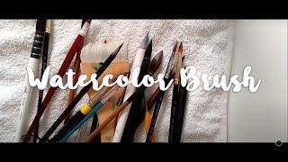 All my watercolor brushes  | Sò Kimura