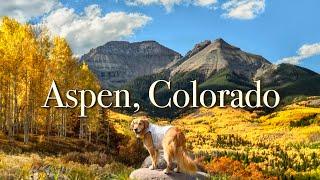  Trip to COLORADO with My DOG, Nothing more beautiful than ASPEN in the fall