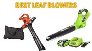 Leaf Blowers Reviews : Top 5 Best Leaf Blowers