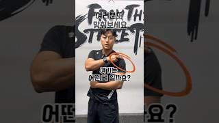 해부학 퀴즈 1