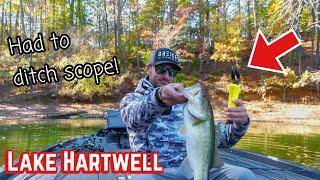 HAD TO DITCH LIVESCOPE AND FISH SHALLOW! (Lake Hartwell Tournament)