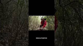 電影中藏在天坑底部的古寺廟神道石道生，真的被我們找到了！ #古洞  #熱門  #探險  #戶外
