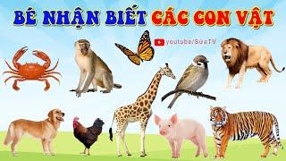 DẠY BÉ PHÂN BIỆT CÁC CON VẬT | EM TẬP ĐỌC CON VẬT | DẠY BÉ HỌC NHANH NHỚ LÂU VÀ TẬP NÓI HIỆU QUẢ