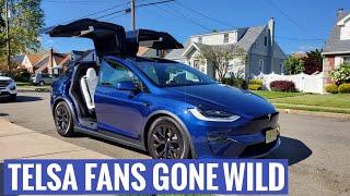 Have Tesla Fans Lost Their Minds?