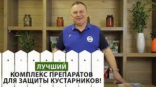 Как защитить ягодные и декоративные кустарники от вредителей? Используйте этот комплекс препаратов!