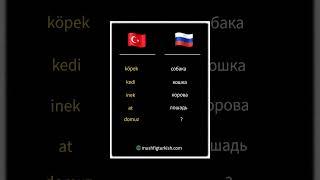 Поддержите ️, подпиской # Турецкий язык с носителем, турецкий язык уроки, турецкий для начинающих