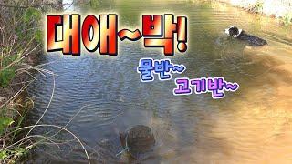 [리얼3분] 깊은산속!! 엄청난 물고기들 !!! / Where did the most fish come in?