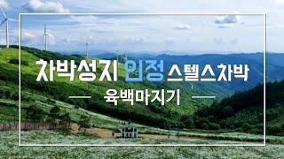 [스텔스차박] 나만 몰랐어? 우리나라에 이런 곳이?!! | 초보차박러도 가능한 차박성지 | 아름다운 뷰의 끝판왕 #육백마지기 #모델Y차박 #모델Y평탄화