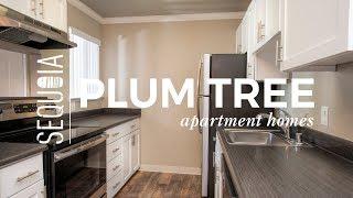 Plum Tree Apartment Homes | Martinez, CA | Sequoia