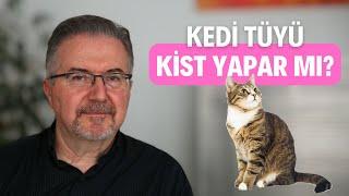 Kedi Tüyü Kist Yapar Mı?