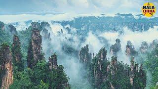 4K Virtual Walk in Zhangjiajie Wulingyuan Scenic Area - Hunan, China