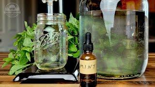 Making Essential Oils at Home with My DIY Distiller - Mint Oil & Hydrosol