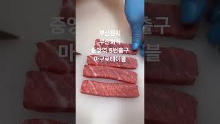 부산참치 마구로테이블 釜山マグロ 네이버예약필수참치교육‍컨설팅배달의민족 #shorts