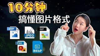 10分钟彻底掌握图片格式！BMP、JPEG、PNG、GIF、WebP大揭秘，谁才是你的最佳选择？