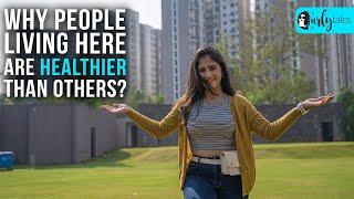 Why People Living Here Are Healthier Than Others? | Curly Tales