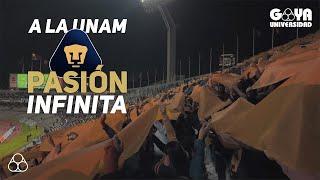 A La UNAM Pasión Infinita | Pumas vs Chivas | 2023