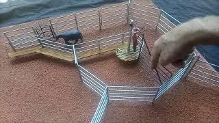 Innovative cattle corral designs