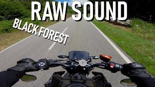 KTM Duke 790 Akrapovic Sound [RAW SOUND] Black Forest!