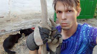 Стрім Перший Ювілей - 10 днів у хаті самі