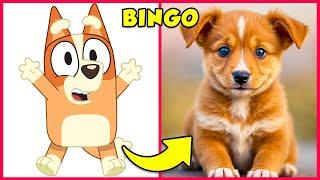 BLUEY en la VIDA REAL  + ¡Adivina la VOZ! BlueyBingo️ChilliSocks️SnickersBandit