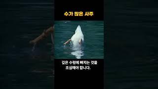 수가 많은 사주의 단점,