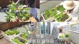 [도시농부 꽃님이] 샐러드 플랜트 박스로 시작해 보세요/ 작게 시작하는 텃밭 생활