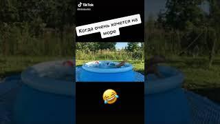 Dream Team House Hype House and #Милохин #18+ #Шпулька #Карнавал #shorts #short TikTok