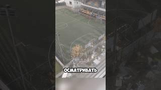 Повезло, повезло... #новости #shorts #fyp